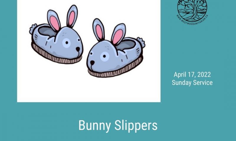 2022-04-17 Bunny Slippers 1080x1080